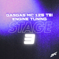 Bild in Galerie-Betrachter laden, GasGas MC 125 TBI - Engine Tuning - STAGE 3