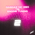 Bild in Galerie-Betrachter laden, GasGas MC 250 TBI - Engine Tuning - STAGE 2