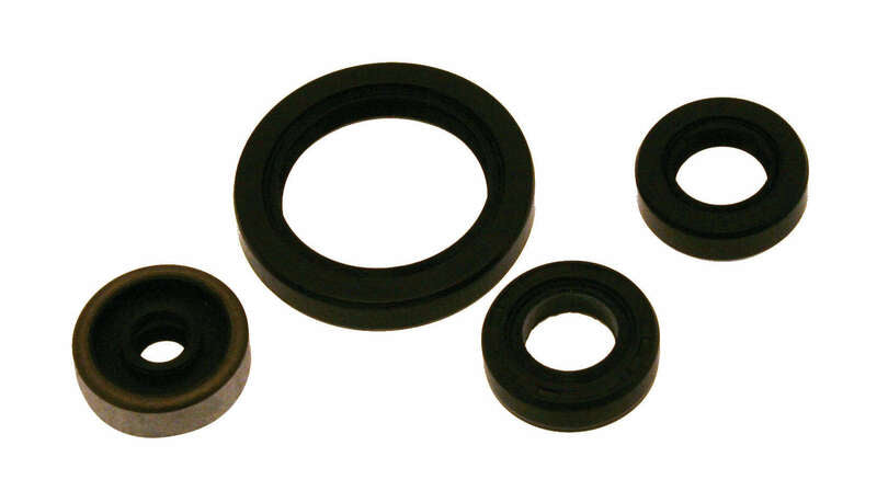 Centauro Satz Simmerringe - 666A221SR