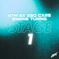 Bild in Galerie-Betrachter laden, KTM 250 SX CARB - Engine Tuning - STAGE 1
