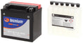 Bild in Galerie-Betrachter laden, Tecnium Wartungsfreie Batterie mit Säurepack - BTX14-BS - 820604

